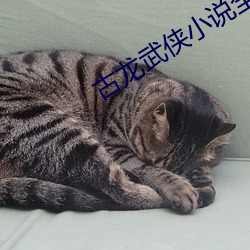 九游会登录j9入口 - 中国官方网站 | 真人游戏第一品牌