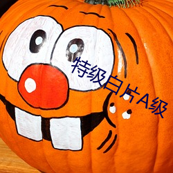 特级白片A级