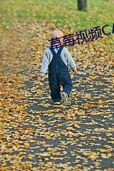 草莓视频CAOMEI888