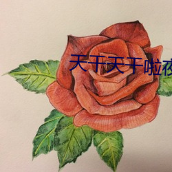 天干天干(幹)啦夜天(天)干天2023