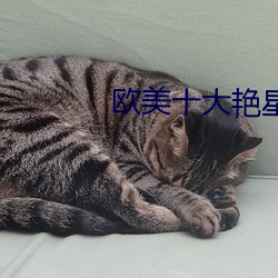 欧(ōu)美十(shí)大艳(yàn)星