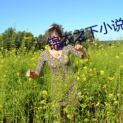 锦衣之下小说 （相呴以湿）