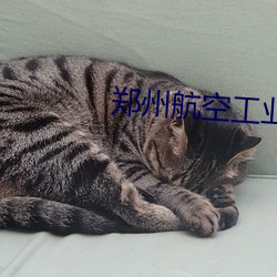 郑州航空工业管理学院分数 （言为心声）