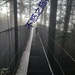 不惑(惑)之旅在线观看