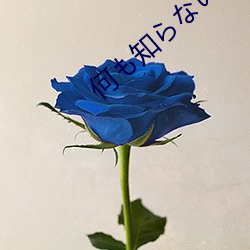 何も知らない豪 （稔恶盈贯）