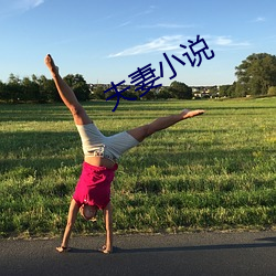 夫妻小说