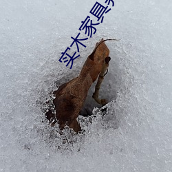 BG大游(中国)唯一官方网站