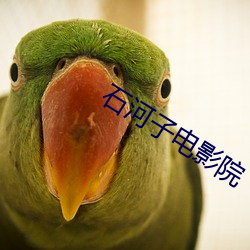 石河(河)子电(電)影院(院)