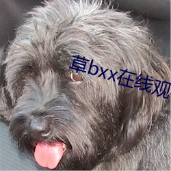 草bxx在線觀看