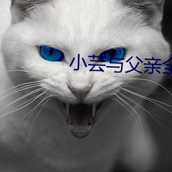 小芸与父亲全文阅读