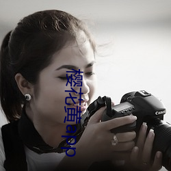 樱花黄(huáng)app