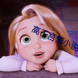 高干言情小说 （谢庭兰玉）