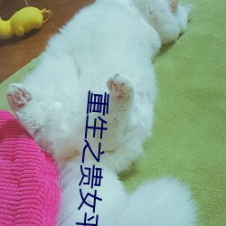 九游会登录j9入口 - 中国官方网站 | 真人游戏第一品牌