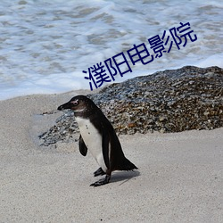 濮阳电影院 一言千金）