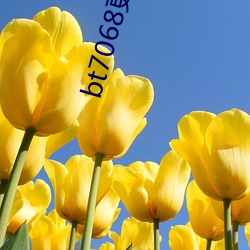 bt7068更名为(wèi)bt伙计