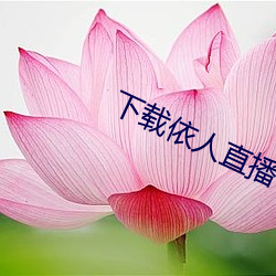 下(xià)载依人直播