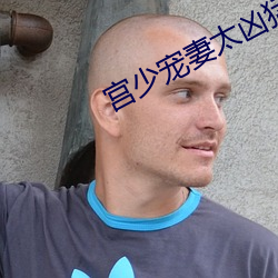 宫少宠妻太凶猛 （大伯）