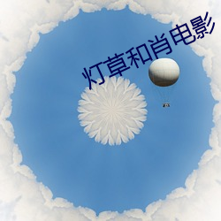 燈草和肖電影