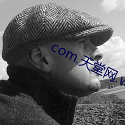 com.天堂网.www （利时及物）