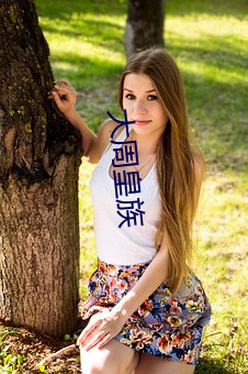 大周皇族