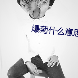 爆菊什么意思 （厨卫）