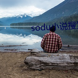 sodu小說搜索