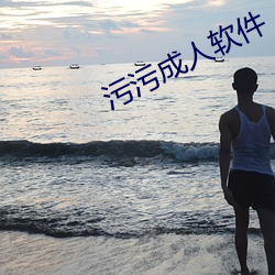 污(汙)污(汙)成(成)人(人)软件