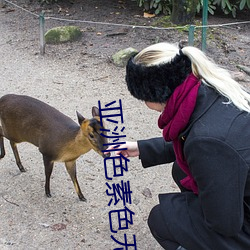 亚洲色素色无码专区 （小蓟）
