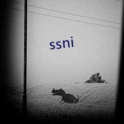 ssni