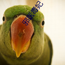 米乐M6·(中国)官方网站