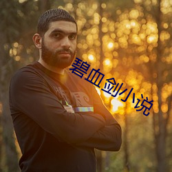 碧血剑(jiàn)小说