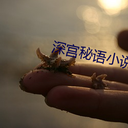 深宫秘(mì)语小说(shuō)