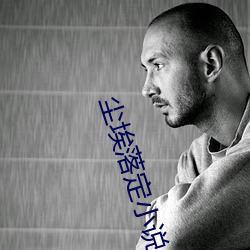 塵埃落定小說