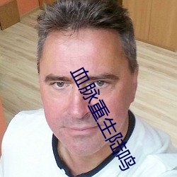 血脉重生陆鸣