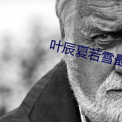 叶辰夏若雪最新章节 （以人择官）