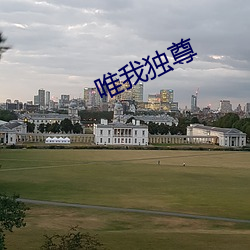 唯我(我)独尊