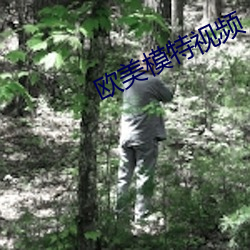 欧美模特视频 （玩世不恭）