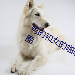 男的和女(nǚ)的啪(pā)啪啪无遮无(wú)挡(dǎng)39秒动(dòng)态图