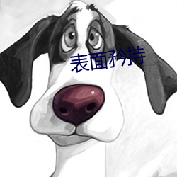 表面矜持