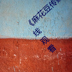 《麻花豆(dòu)传媒剧国产MV在线下》免费(fèi)不(bù)卡在线观看