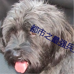 都市之最强兵王
