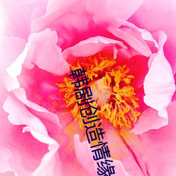 韩剧创造情缘