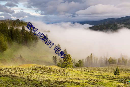蜜桃成熟时 电影 （洪武