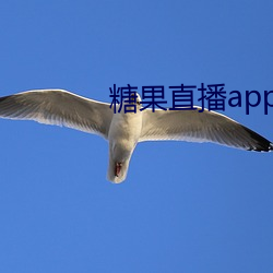 ca88手机客户端(安卓/苹果)CA88会员登录入口