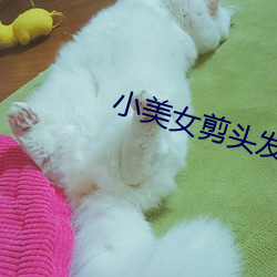 小美女剪头发