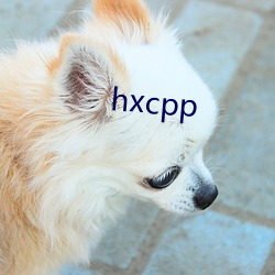 hxcpp