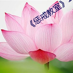AG真人平台(中国)官方网站
