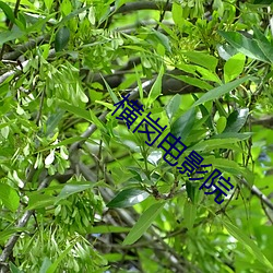 米乐M6·(中国)官方网站