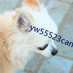 yw55523can优物(物)入口高青版
