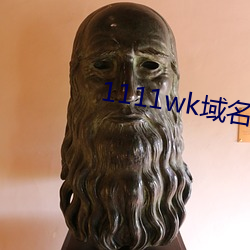 1111wk域名更换8a8a8a （装葱卖蒜）